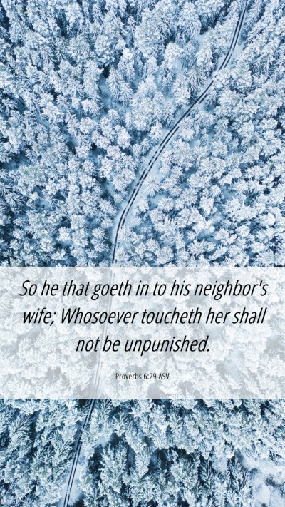 Picture 06 - Proverbs 6:29 ASV Mobile Phone Wallpaper - So he that goeth in to his neighbor's wife; - Mobile Bible Verse Wallpaper