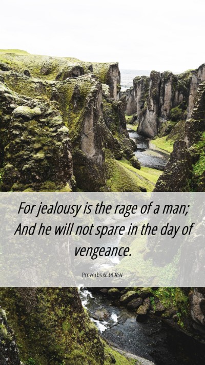 Picture 06 - Proverbs 6:34 ASV Mobile Phone Wallpaper - For jealousy is the rage of a man; And he will - Mobile Bible Verse Wallpaper