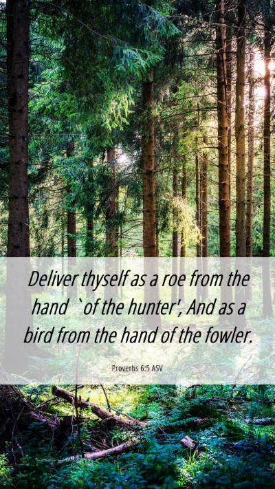 Picture 06 - Proverbs 6:5 ASV Mobile Phone Wallpaper - Deliver thyself as a roe from the hand `of the - Mobile Bible Verse Wallpaper