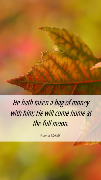 Picture 06 - Proverbs 7:20 ASV Mobile Phone Wallpaper - He hath taken a bag of money with him; He will - Mobile Bible Verse Wallpaper