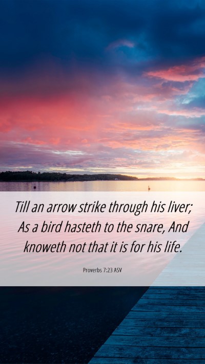 Picture 06 - Proverbs 7:23 ASV Mobile Phone Wallpaper - Till an arrow strike through his liver; As a bird - Mobile Bible Verse Wallpaper