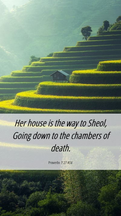 Picture 06 - Proverbs 7:27 ASV Mobile Phone Wallpaper - Her house is the way to Sheol, Going down to the - Mobile Bible Verse Wallpaper
