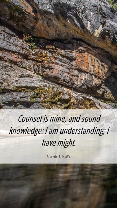 Picture 06 - Proverbs 8:14 ASV Mobile Phone Wallpaper - Counsel is mine, and sound knowledge: I am - Mobile Bible Verse Wallpaper