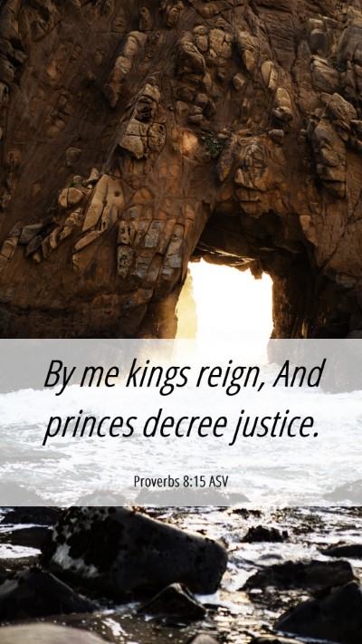 Picture 06 - Proverbs 8:15 ASV Mobile Phone Wallpaper - By me kings reign, And princes decree - Mobile Bible Verse Wallpaper