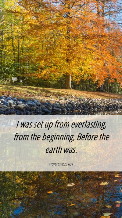 Picture 06 - Proverbs 8:23 ASV Mobile Phone Wallpaper - I was set up from everlasting, from the - Mobile Bible Verse Wallpaper