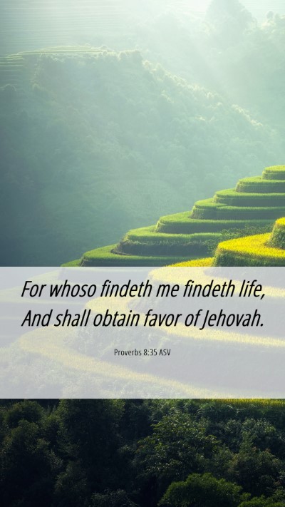 Picture 06 - Proverbs 8:35 ASV Mobile Phone Wallpaper - For whoso findeth me findeth life, And shall - Mobile Bible Verse Wallpaper