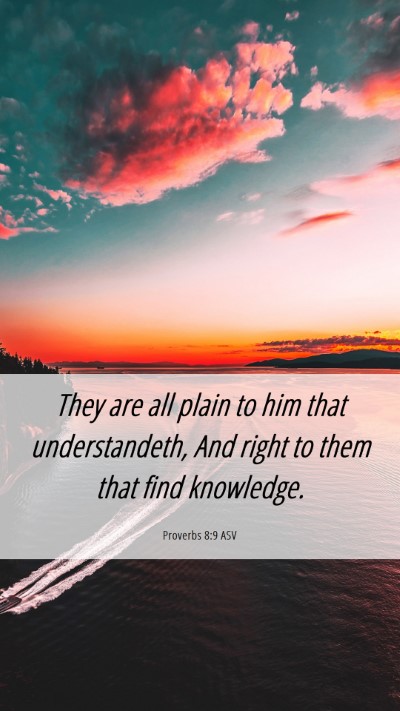 Picture 06 - Proverbs 8:9 ASV Mobile Phone Wallpaper - They are all plain to him that understandeth, And - Mobile Bible Verse Wallpaper