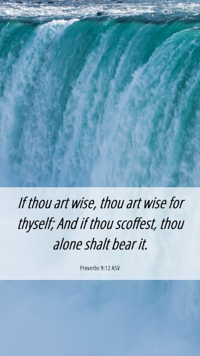 Picture 06 - Proverbs 9:12 ASV Mobile Phone Wallpaper - If thou art wise, thou art wise for thyself; And - Mobile Bible Verse Wallpaper