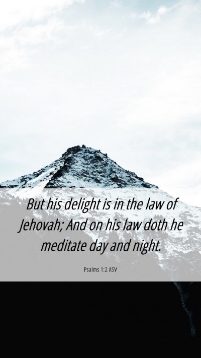 Picture 06 - Psalms 1:2 ASV Mobile Phone Wallpaper - But his delight is in the law of Jehovah; And on - Mobile Bible Verse Wallpaper