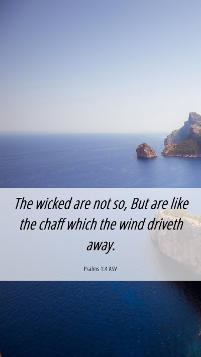 Picture 06 - Psalms 1:4 ASV Mobile Phone Wallpaper - The wicked are not so, But are like the chaff - Mobile Bible Verse Wallpaper