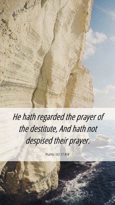 Picture 06 - Psalms 102:17 ASV Mobile Phone Wallpaper - He hath regarded the prayer of the destitute, And - Mobile Bible Verse Wallpaper