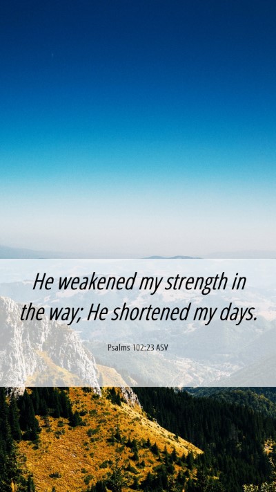 Picture 06 - Psalms 102:23 ASV Mobile Phone Wallpaper - He weakened my strength in the way; He shortened - Mobile Bible Verse Wallpaper