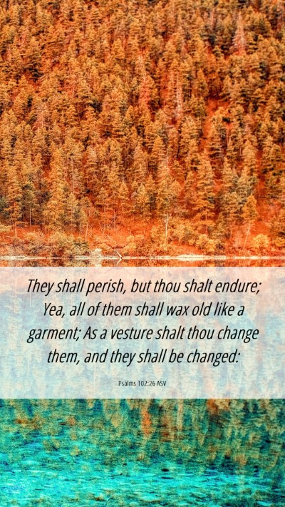 Picture 06 - Psalms 102:26 ASV Mobile Phone Wallpaper - They shall perish, but thou shalt endure; Yea, - Mobile Bible Verse Wallpaper