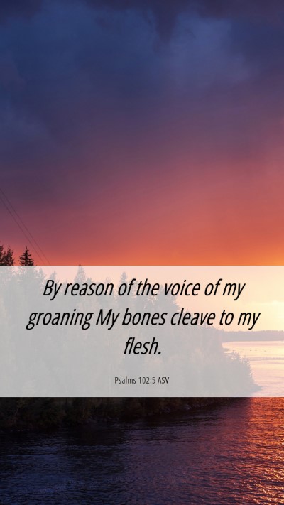 Picture 06 - Psalms 102:5 ASV Mobile Phone Wallpaper - By reason of the voice of my groaning My bones - Mobile Bible Verse Wallpaper