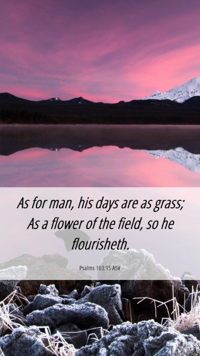 Picture 06 - Psalms 103:15 ASV Mobile Phone Wallpaper - As for man, his days are as grass; As a flower of - Mobile Bible Verse Wallpaper