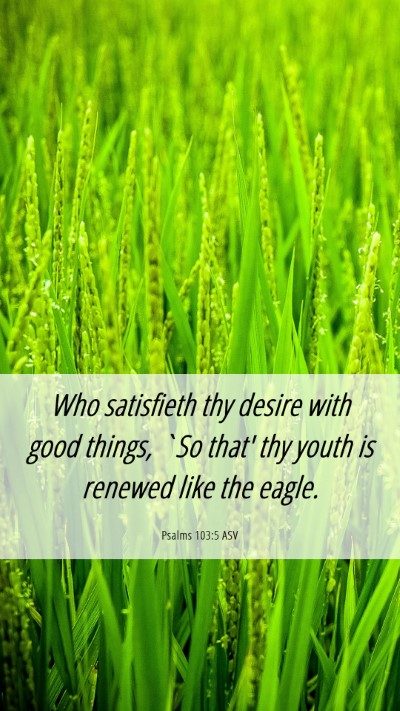 Picture 06 - Psalms 103:5 ASV Mobile Phone Wallpaper - Who satisfieth thy desire with good things, `So - Mobile Bible Verse Wallpaper