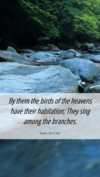 Picture 06 - Psalms 104:12 ASV Mobile Phone Wallpaper - By them the birds of the heavens have their - Mobile Bible Verse Wallpaper