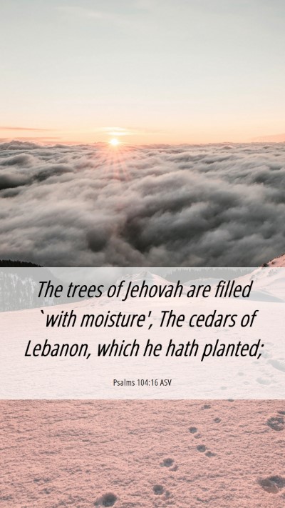 Picture 06 - Psalms 104:16 ASV Mobile Phone Wallpaper - The trees of Jehovah are filled `with moisture', - Mobile Bible Verse Wallpaper
