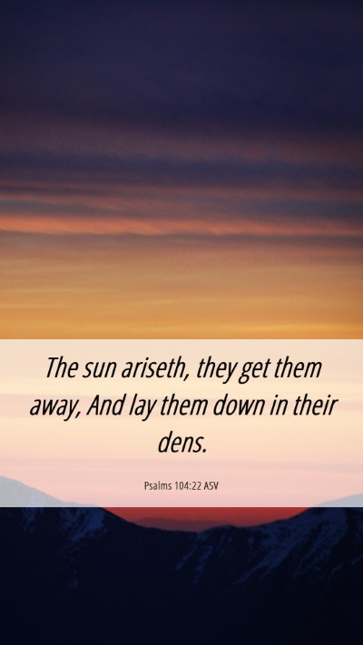 Picture 06 - Psalms 104:22 ASV Mobile Phone Wallpaper - The sun ariseth, they get them away, And lay them - Mobile Bible Verse Wallpaper
