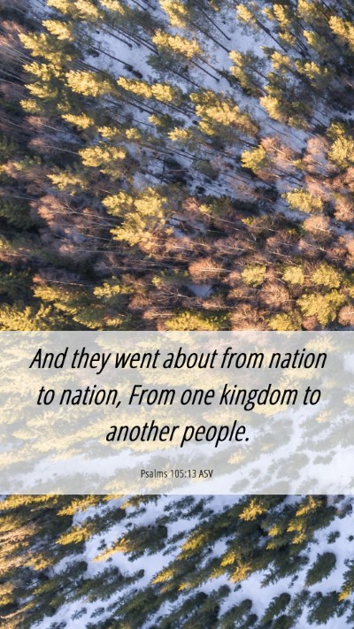 Picture 06 - Psalms 105:13 ASV Mobile Phone Wallpaper - And they went about from nation to nation, From - Mobile Bible Verse Wallpaper
