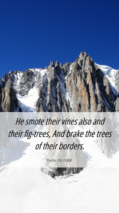 Picture 06 - Psalms 105:33 ASV Mobile Phone Wallpaper - He smote their vines also and their fig-trees, - Mobile Bible Verse Wallpaper