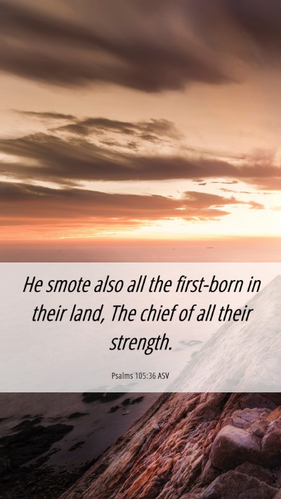 Picture 06 - Psalms 105:36 ASV Mobile Phone Wallpaper - He smote also all the first-born in their land, - Mobile Bible Verse Wallpaper