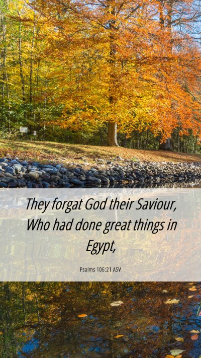 Picture 06 - Psalms 106:21 ASV Mobile Phone Wallpaper - They forgat God their Saviour, Who had done great - Mobile Bible Verse Wallpaper