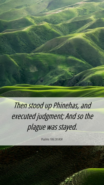 Picture 06 - Psalms 106:30 ASV Mobile Phone Wallpaper - Then stood up Phinehas, and executed judgment; - Mobile Bible Verse Wallpaper