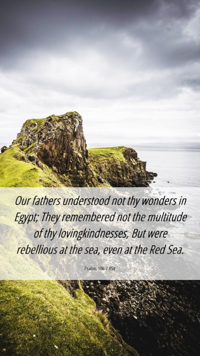 Picture 06 - Psalms 106:7 ASV Mobile Phone Wallpaper - Our fathers understood not thy wonders in Egypt; - Mobile Bible Verse Wallpaper