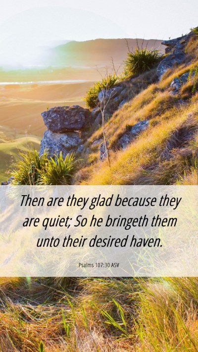 Picture 06 - Psalms 107:30 ASV Mobile Phone Wallpaper - Then are they glad because they are quiet; So he - Mobile Bible Verse Wallpaper