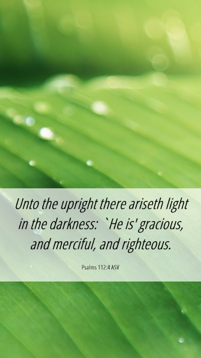 Picture 06 - Psalms 112:4 ASV Mobile Phone Wallpaper - Unto the upright there ariseth light in the - Mobile Bible Verse Wallpaper