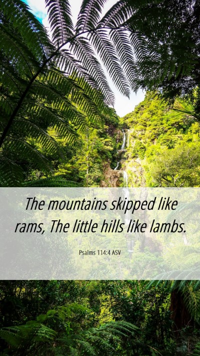 Picture 06 - Psalms 114:4 ASV Mobile Phone Wallpaper - The mountains skipped like rams, The little hills - Mobile Bible Verse Wallpaper