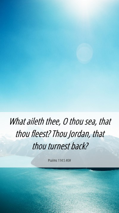 Picture 06 - Psalms 114:5 ASV Mobile Phone Wallpaper - What aileth thee, O thou sea, that thou fleest? - Mobile Bible Verse Wallpaper