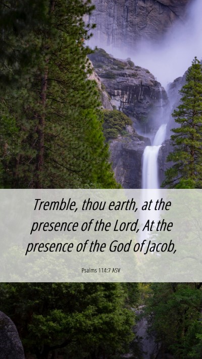 Picture 06 - Psalms 114:7 ASV Mobile Phone Wallpaper - Tremble, thou earth, at the presence of the Lord, - Mobile Bible Verse Wallpaper