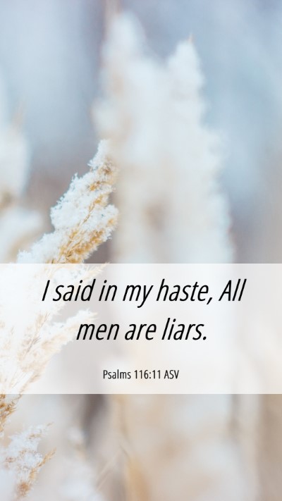Picture 06 - Psalms 116:11 ASV Mobile Phone Wallpaper - I said in my haste, All men are - Mobile Bible Verse Wallpaper