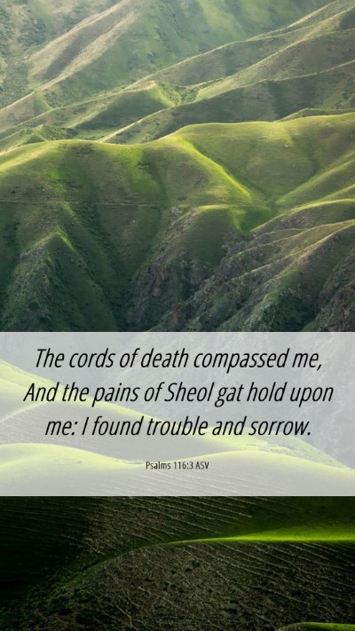 Picture 06 - Psalms 116:3 ASV Mobile Phone Wallpaper - The cords of death compassed me, And the pains of - Mobile Bible Verse Wallpaper