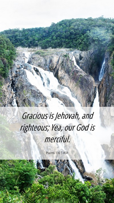 Picture 06 - Psalms 116:5 ASV Mobile Phone Wallpaper - Gracious is Jehovah, and righteous; Yea, our God - Mobile Bible Verse Wallpaper