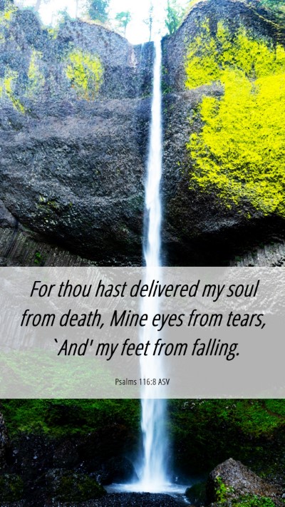 Picture 06 - Psalms 116:8 ASV Mobile Phone Wallpaper - For thou hast delivered my soul from death, Mine - Mobile Bible Verse Wallpaper