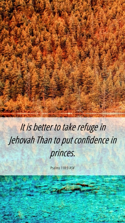Picture 06 - Psalms 118:9 ASV Mobile Phone Wallpaper - It is better to take refuge in Jehovah Than to - Mobile Bible Verse Wallpaper