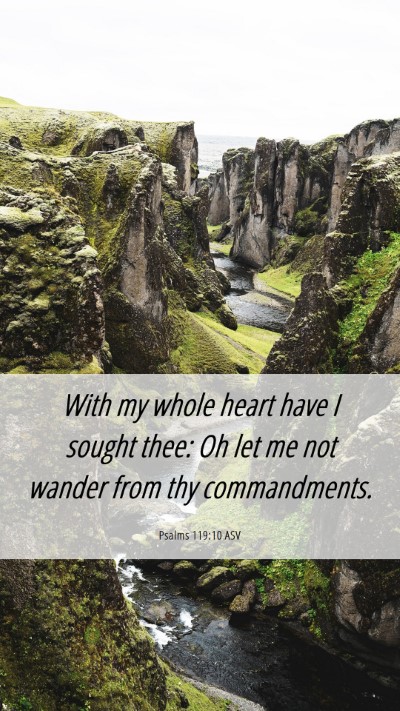 Picture 06 - Psalms 119:10 ASV Mobile Phone Wallpaper - With my whole heart have I sought thee: Oh let me - Mobile Bible Verse Wallpaper