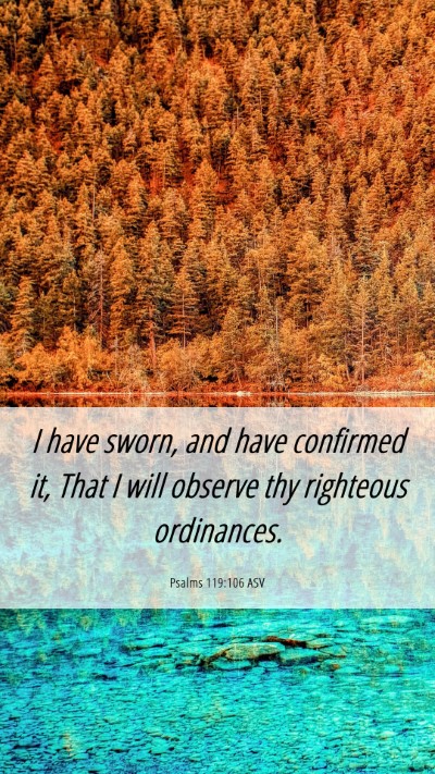 Picture 06 - Psalms 119:106 ASV Mobile Phone Wallpaper - I have sworn, and have confirmed it, That I will - Mobile Bible Verse Wallpaper