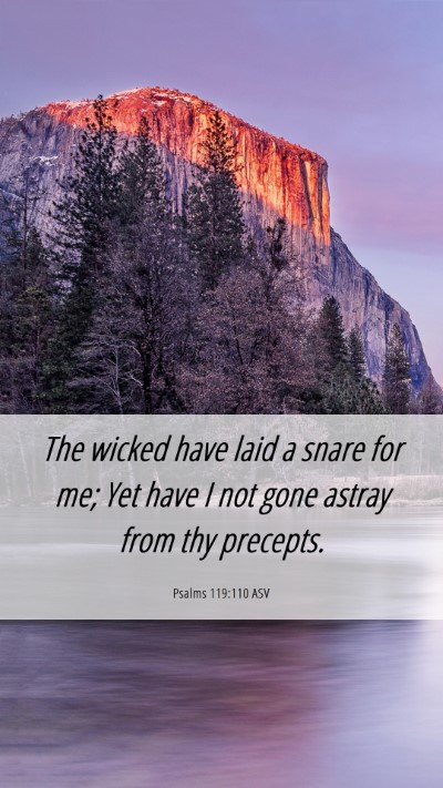 Picture 06 - Psalms 119:110 ASV Mobile Phone Wallpaper - The wicked have laid a snare for me; Yet have I - Mobile Bible Verse Wallpaper