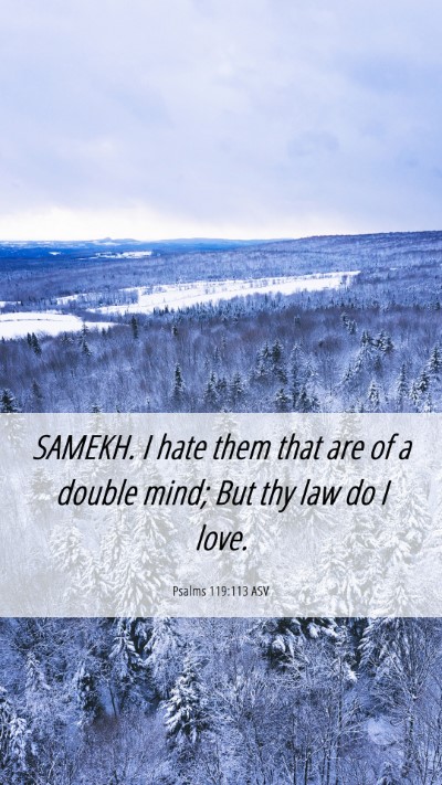 Picture 06 - Psalms 119:113 ASV Mobile Phone Wallpaper - SAMEKH. I hate them that are of a double mind; - Mobile Bible Verse Wallpaper