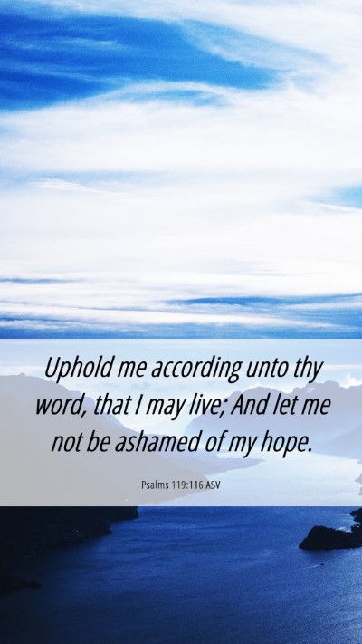 Picture 06 - Psalms 119:116 ASV Mobile Phone Wallpaper - Uphold me according unto thy word, that I may - Mobile Bible Verse Wallpaper