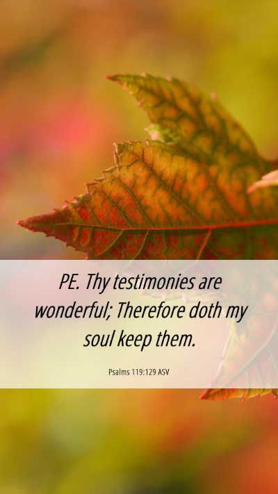 Picture 06 - Psalms 119:129 ASV Mobile Phone Wallpaper - PE. Thy testimonies are wonderful; Therefore doth - Mobile Bible Verse Wallpaper