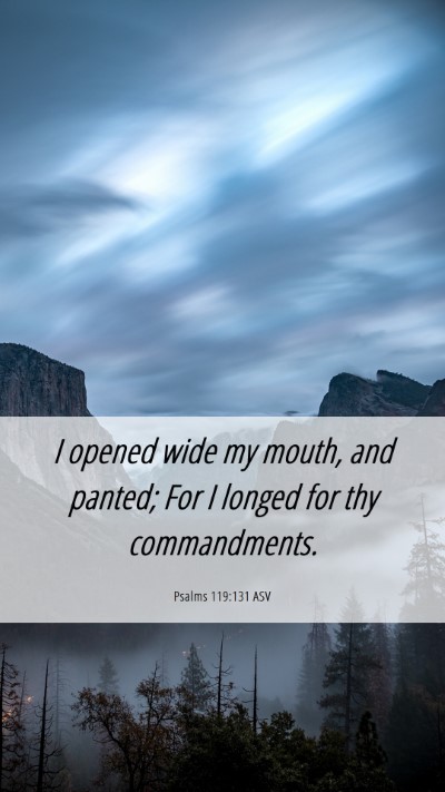 Picture 06 - Psalms 119:131 ASV Mobile Phone Wallpaper - I opened wide my mouth, and panted; For I longed - Mobile Bible Verse Wallpaper