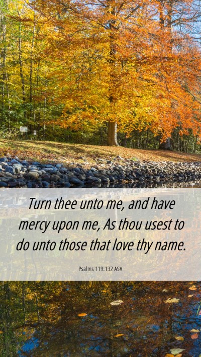 Picture 06 - Psalms 119:132 ASV Mobile Phone Wallpaper - Turn thee unto me, and have mercy upon me, As - Mobile Bible Verse Wallpaper