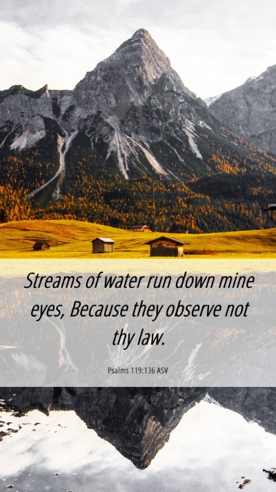 Picture 06 - Psalms 119:136 ASV Mobile Phone Wallpaper - Streams of water run down mine eyes, Because they - Mobile Bible Verse Wallpaper