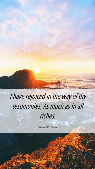 Picture 06 - Psalms 119:14 ASV Mobile Phone Wallpaper - I have rejoiced in the way of thy testimonies, As - Mobile Bible Verse Wallpaper