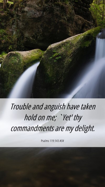 Picture 06 - Psalms 119:143 ASV Mobile Phone Wallpaper - Trouble and anguish have taken hold on me; `Yet' - Mobile Bible Verse Wallpaper